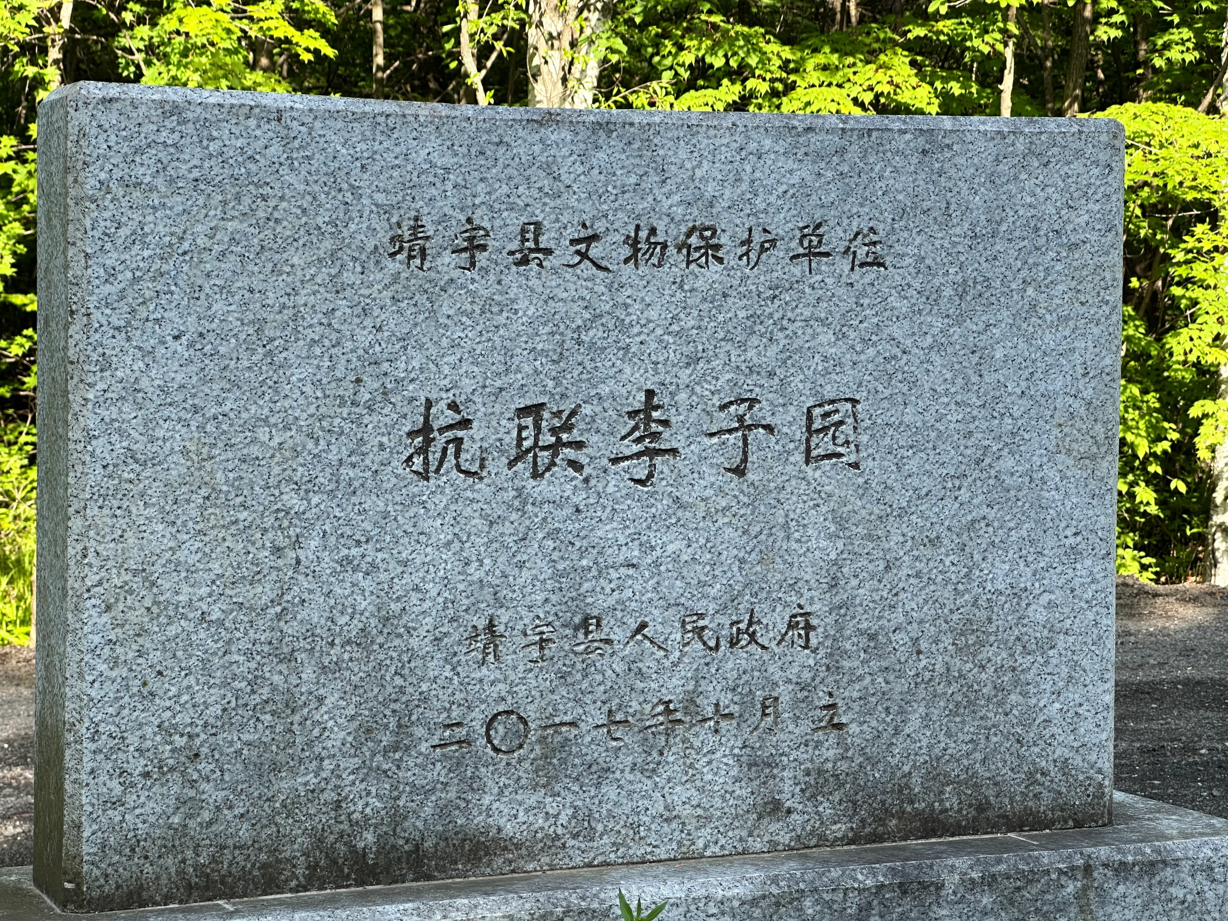 IMG_5472+2.JPG
