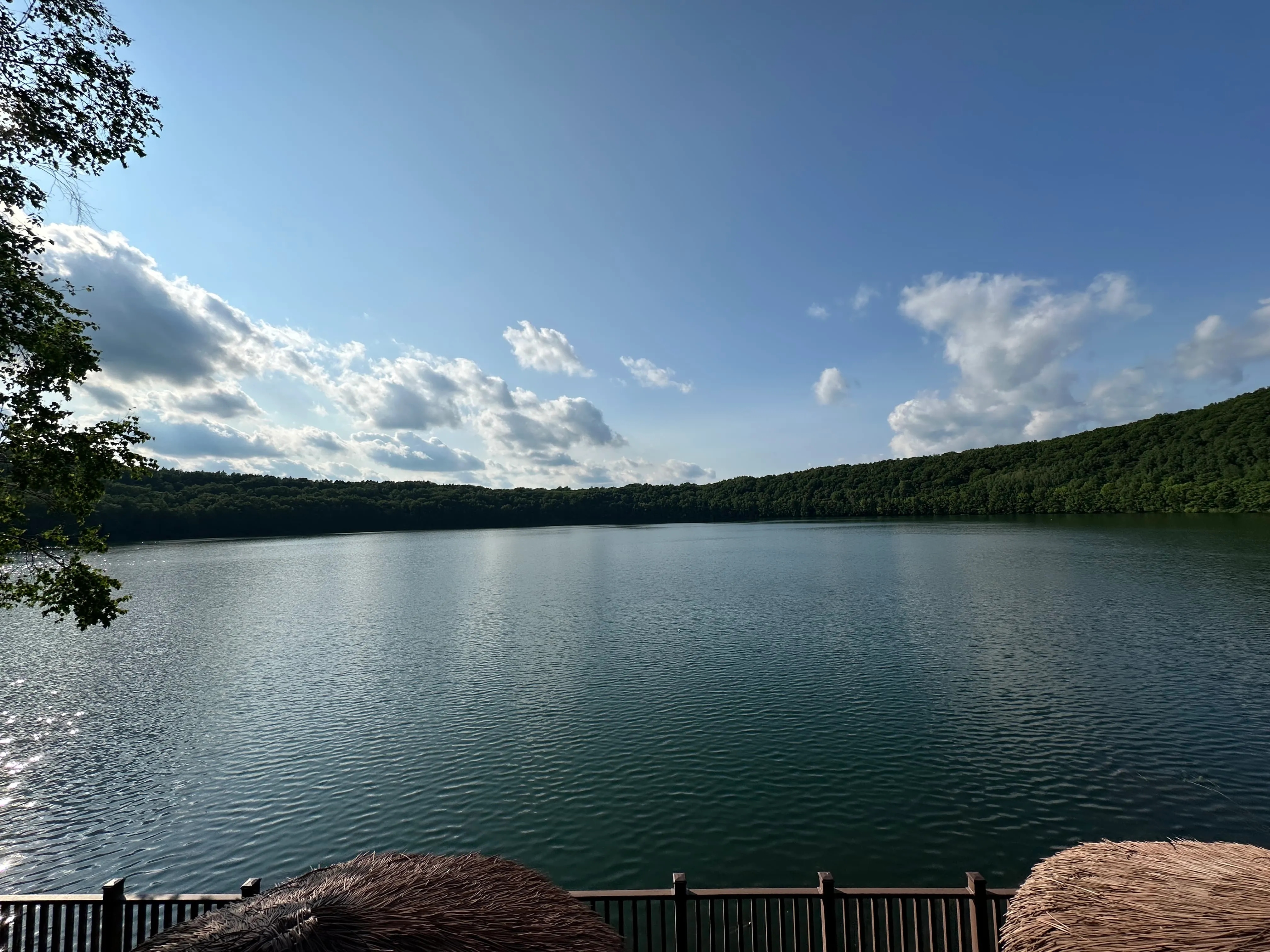 IMG_5510+2.JPG