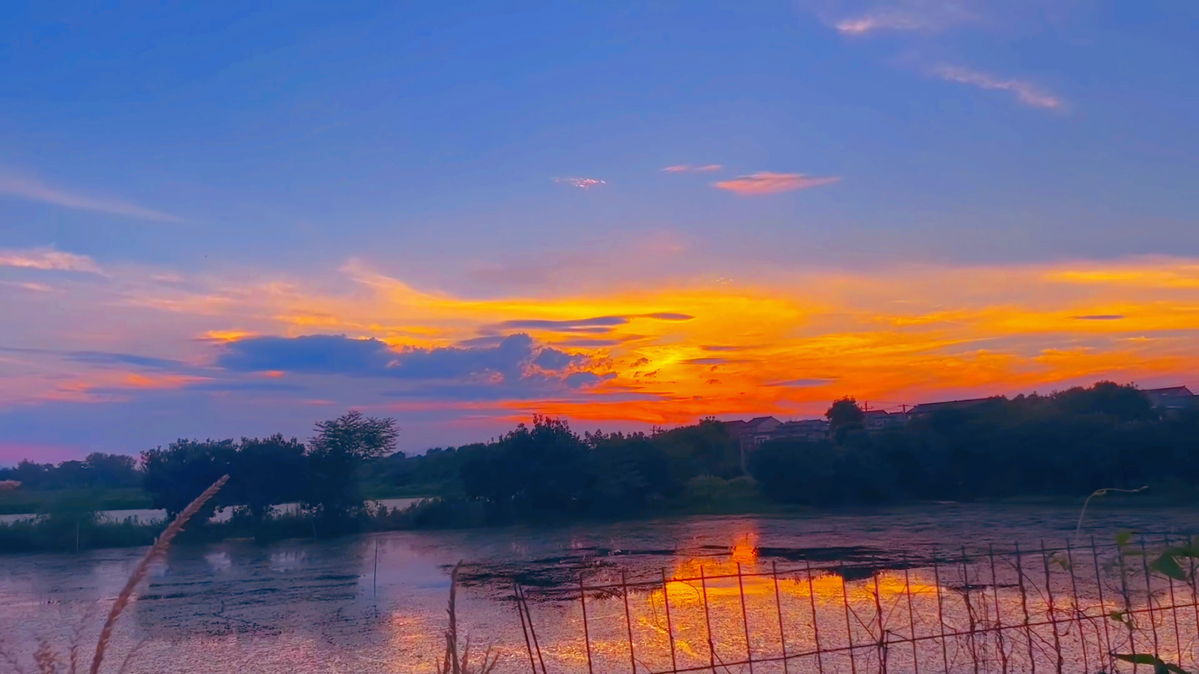 被误读的千年智慧：我们正亲手丢掉文化的钥匙